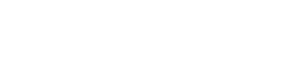 vailo_ai_logo.png
